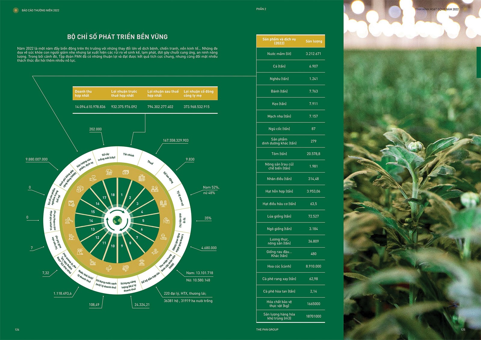 bao-cao-thuong-nien-cua-pan-co-nhung-danh-gia-ve-trach-nhiem-moi-truong-xa-hoi-chi-tiet-sinh-dong-bam-sat-theo-bo-chi-so-phat-trien-ben-vung